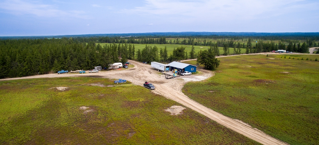 Bleuets Mistassini harvest