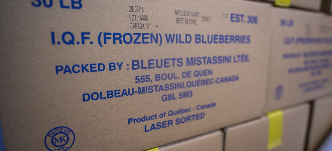 Bleuets Mistassini production